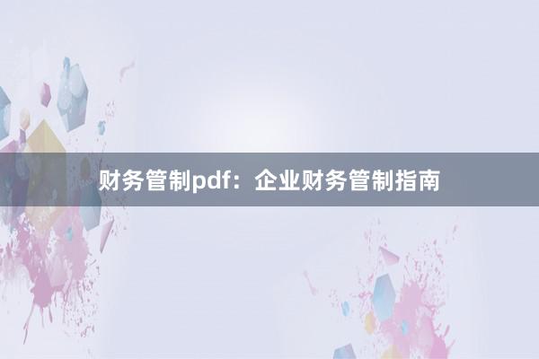 财务管制pdf：企业财务管制指南