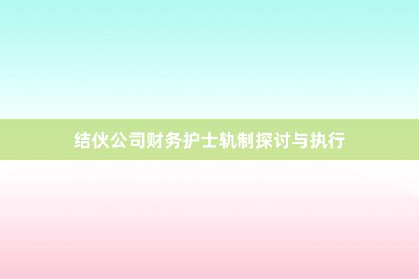 结伙公司财务护士轨制探讨与执行