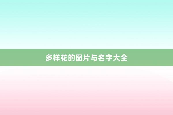 多样花的图片与名字大全