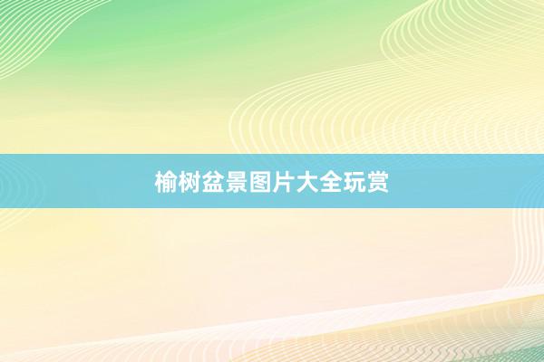 榆树盆景图片大全玩赏