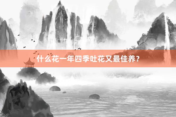什么花一年四季吐花又最佳养？
